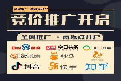 SEM搜索引擎优化案例：如何提升网站流量和转化率